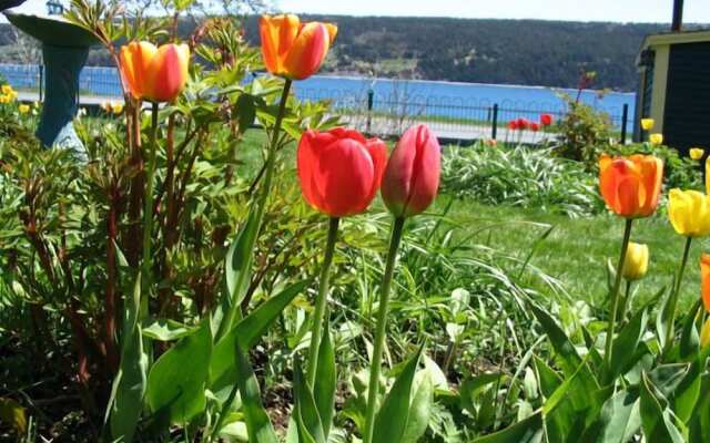 Rothesay House Heritage Inn B&B