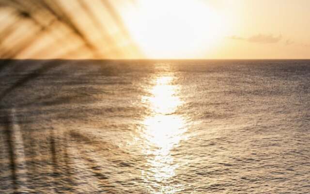 Sunset Reef St.Kitts