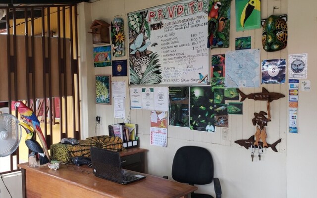 Cabinas Pura Vida Bed & Breakfast