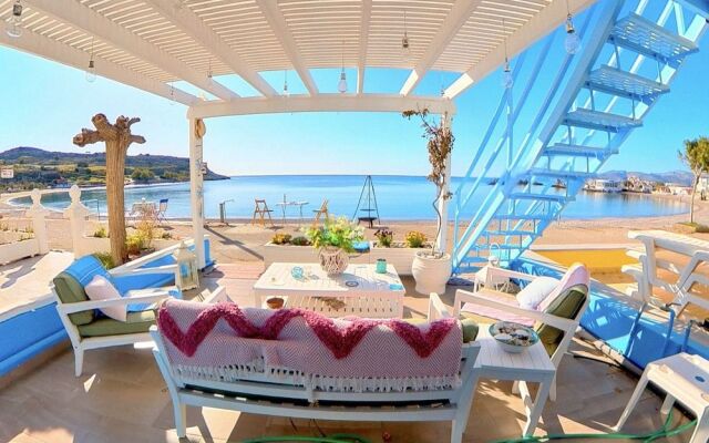 Beach Shack Studio s&l