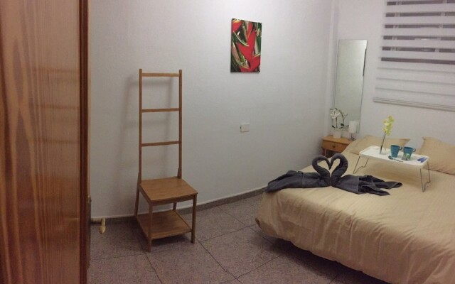 Floritas 8