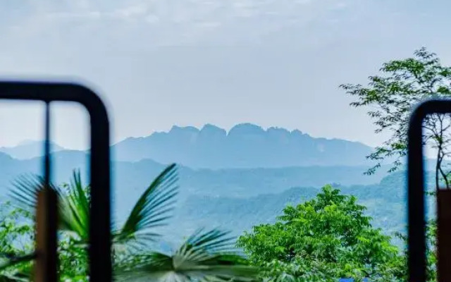 Misty Forest Retreat