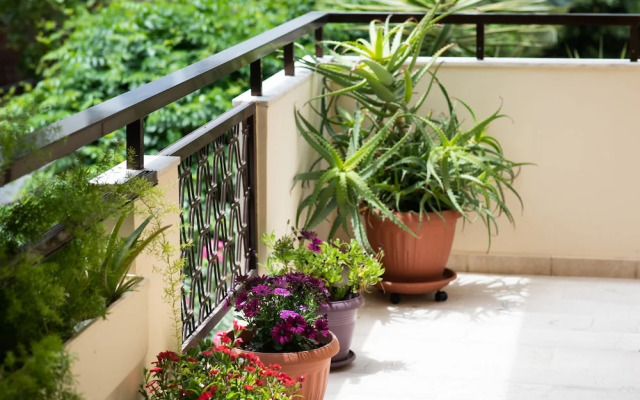 Dreamy Holidays Apartments - Adults Only
