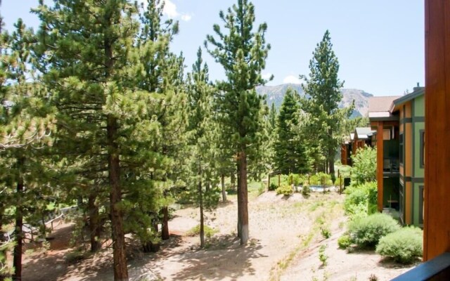 Solstice at Mammoth Lakes