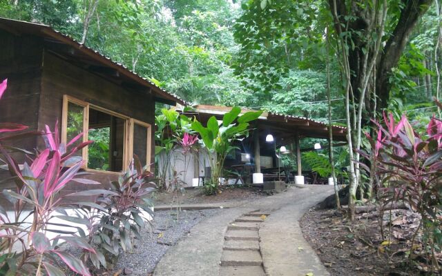 Selva Color Forest & Beach Ecolodge