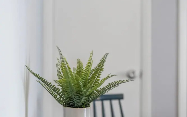 881 Furnished Apartments