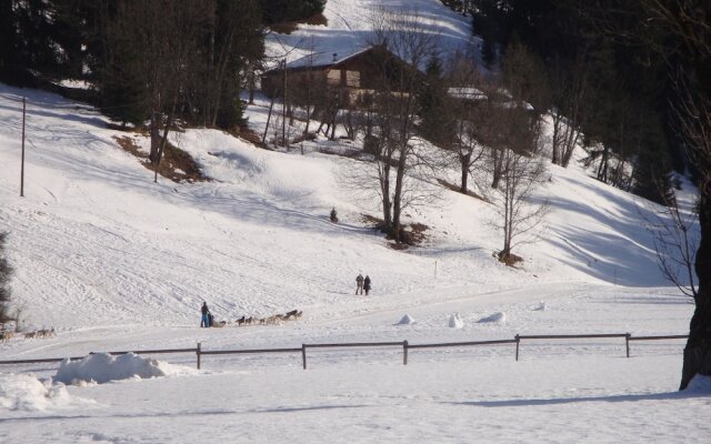 Studio in Praz-sur-arly, With Wonderful Mountain View and Enclosed Gar