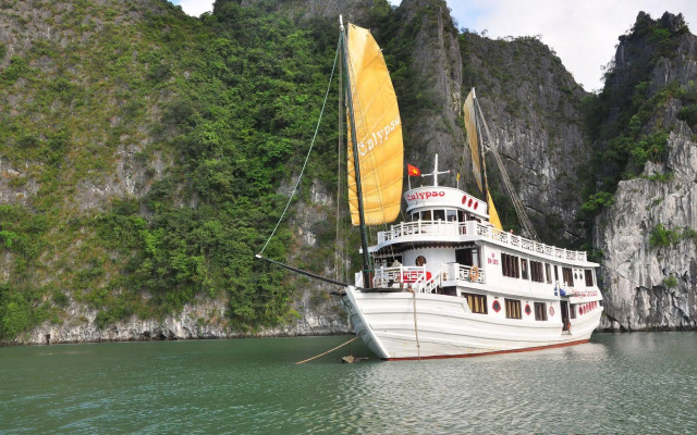 Calypso Cruise