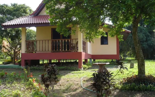 Suancha Tea Garden
