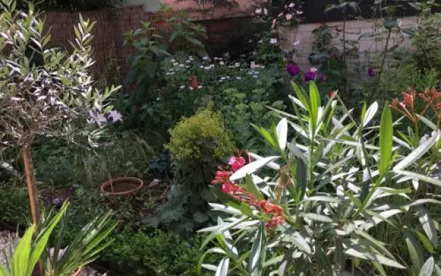 Ferienwohnung Buddestrasse