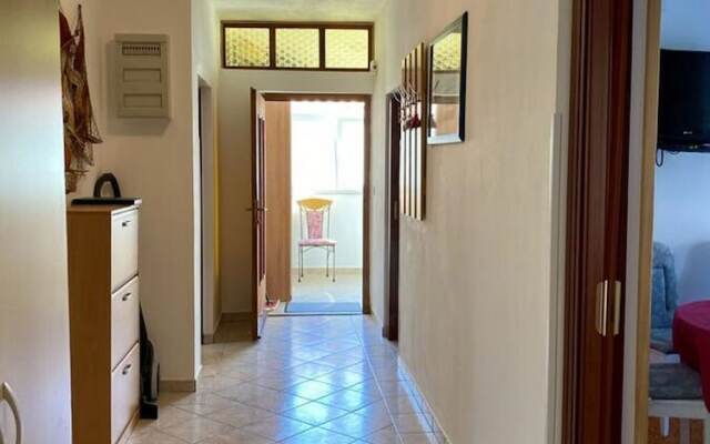 Charming Palit Kroatien Holiday House With Garden