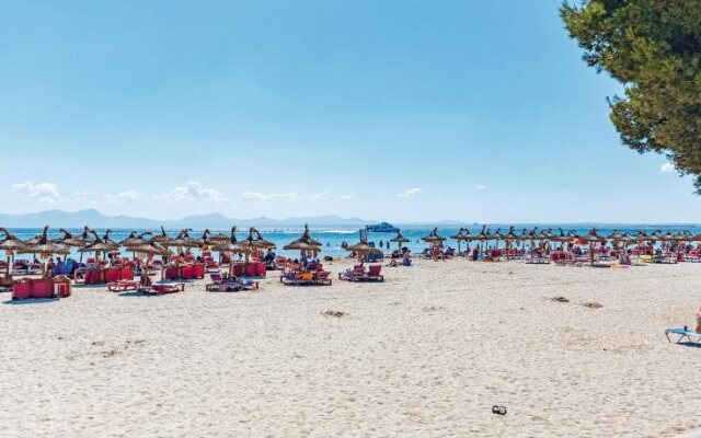 Sofia Alcudia Beach