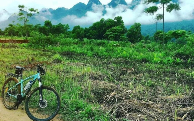 Frontier Hostel & Tours