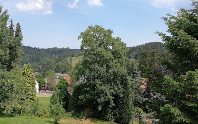 Haus zur Tanne