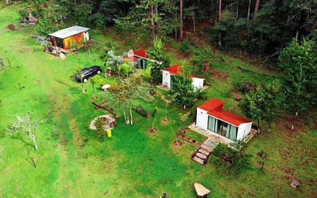 Romanticas Cabañas En Bosque