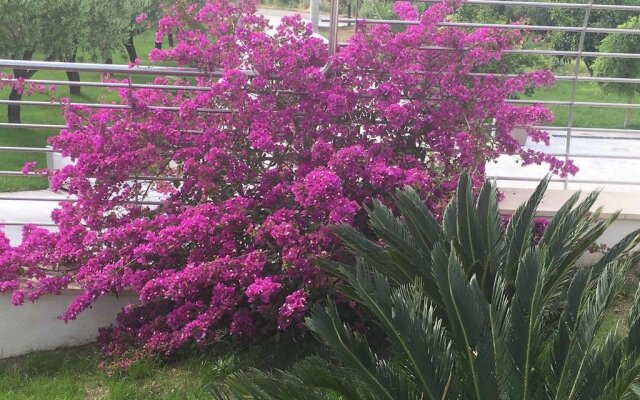 La Collina Dei Colori