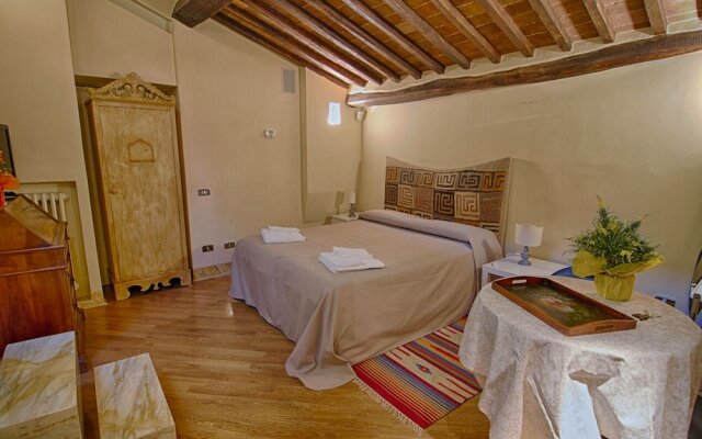 Rinidia Siena Centro