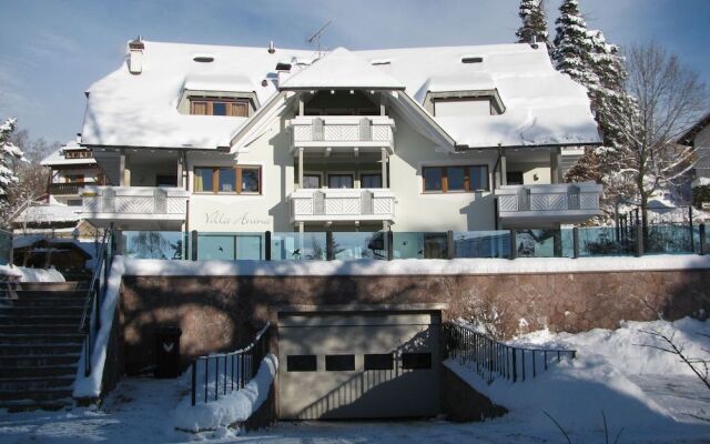 Villa Anina