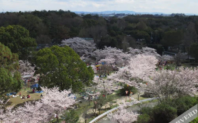 Oaa Harima Heights