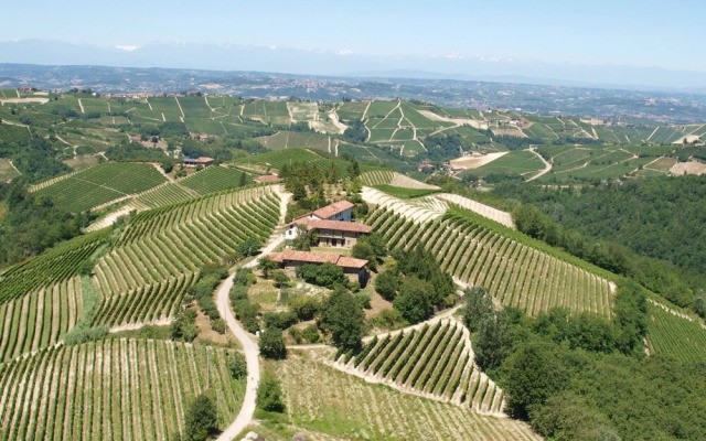 The Grape Pergola House
