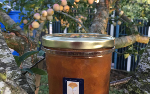 Sleeping Bio Tea - B&B