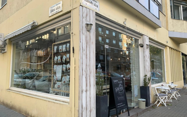 Budapest Downtown in Style