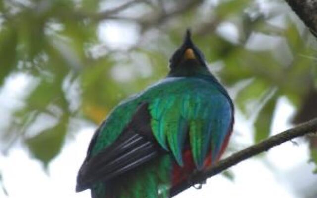 Ranchitos del Quetzal - Parque Ecológico Gucumatz