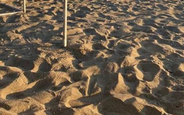 Samandağ Mert Pansiyon Restaurant