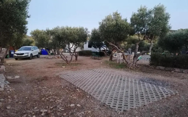 Camp Kopito