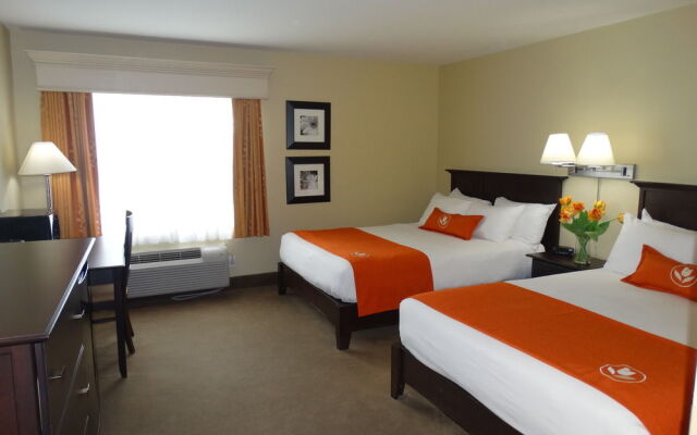 Amsterdam Inn Sussex