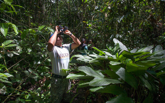 Heliconia Amazon River Lodge
