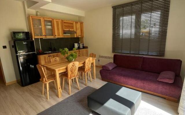 Apartament Willa Hrube parter z tarasem i kominkiem
