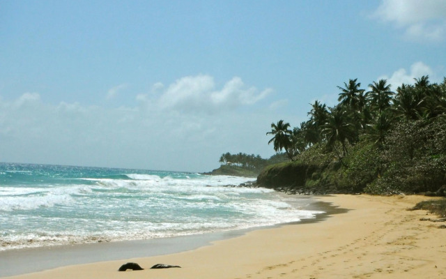 Turtles Nest Bunkhouse at Lodge at Long Bay