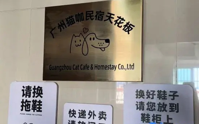 Guangzhou cats hotel