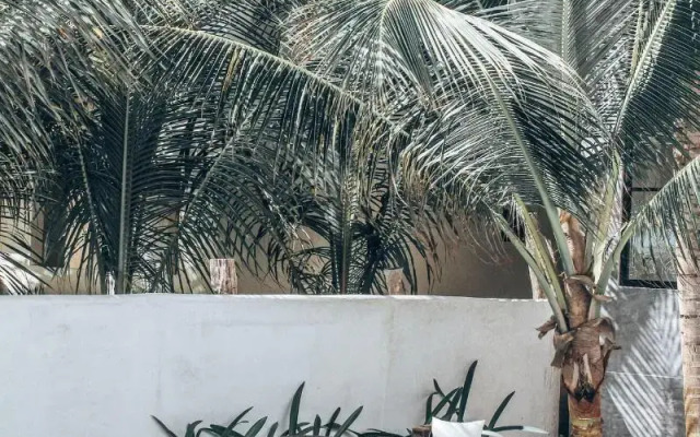 Posada Lamar Tulum Beach Front and Pool
