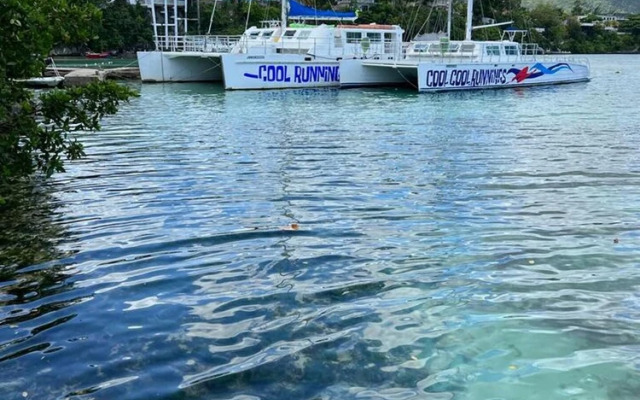 Immaculate 1-bed House in Ocho Rios