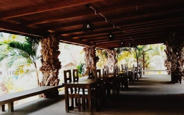 The Pelicans Castaway