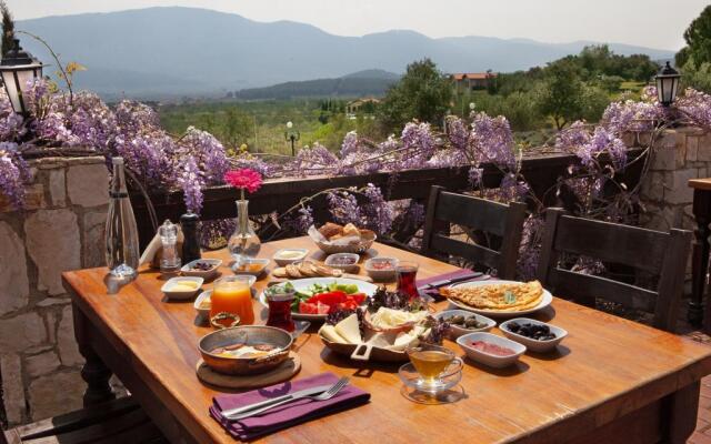 Vinifera Vineyards Hotel