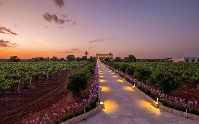 Tenuta Rocci Cerasoli