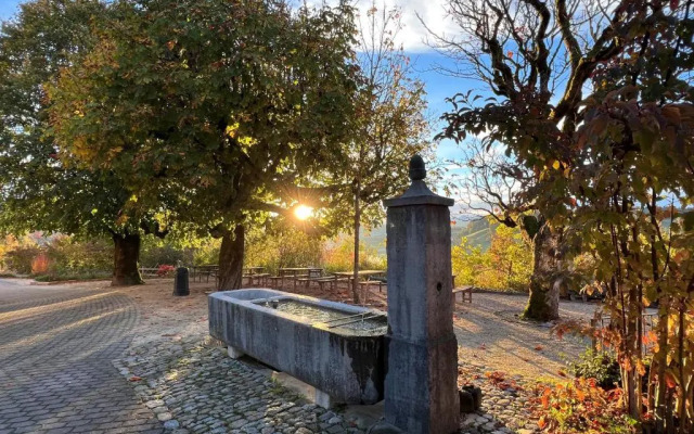 Restaurant Hotel Rüttihubelbad