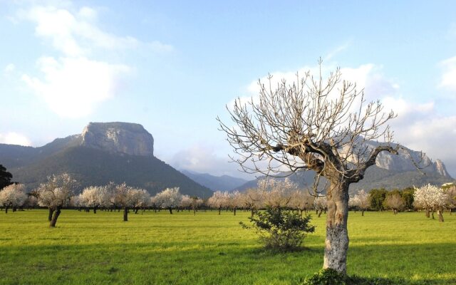 Alaró Natura Rural Suites