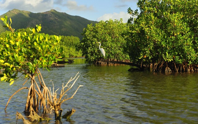 Carlisle Bay