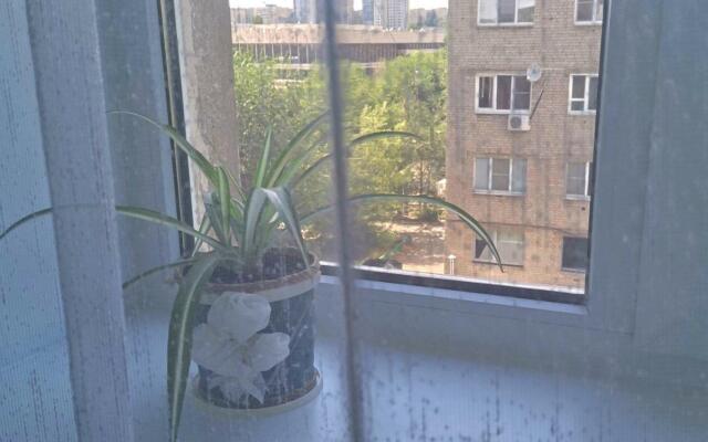 У трёх котов