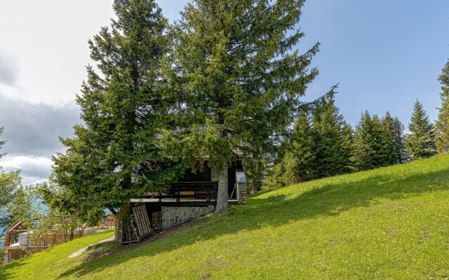 Chalet Snowflake IIb 20m From Ski Trail