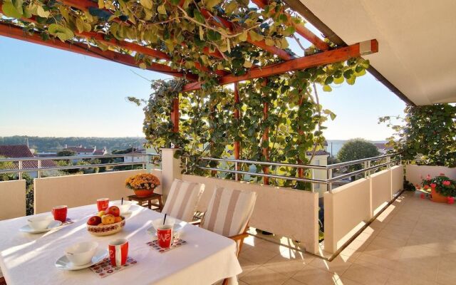 Apartments Levan Ceja