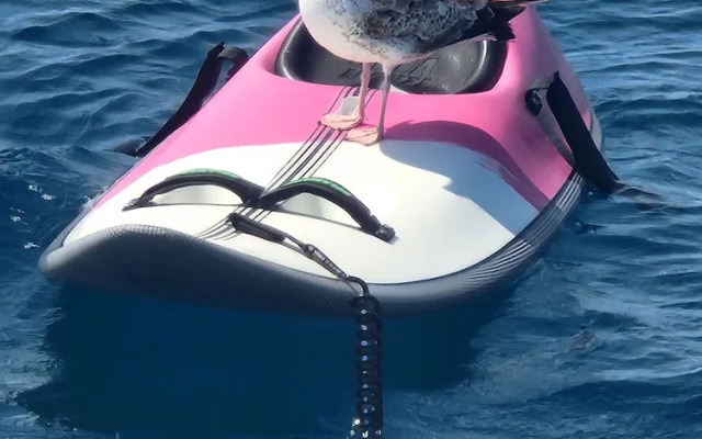 Dream Holiday On A Luxurious Sailing Yacht