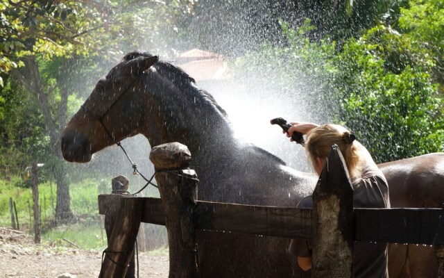 Natura Lodges