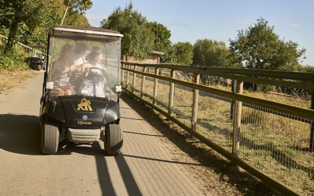 Treehouse Hotel - At Port Lympne Reserve