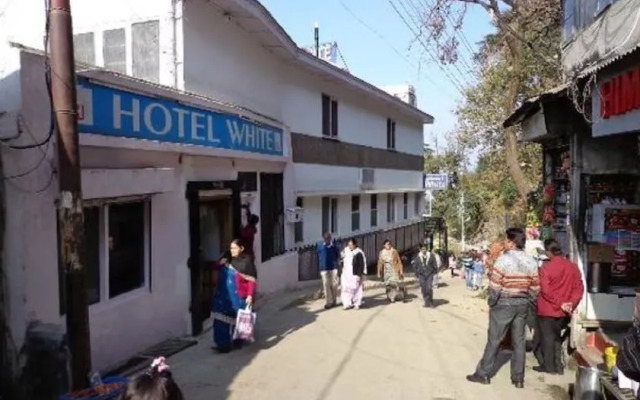 Hotel White