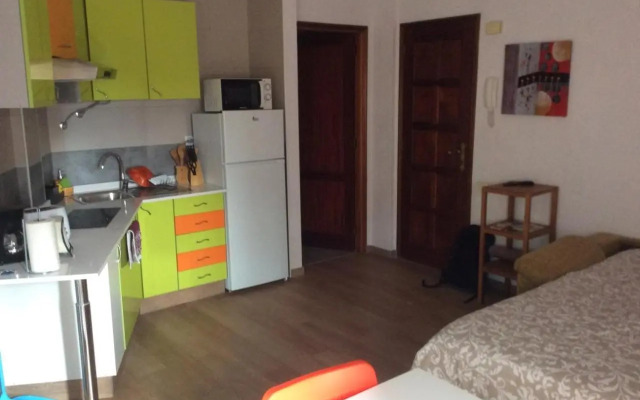 Pequeño Estudio Pinar 2